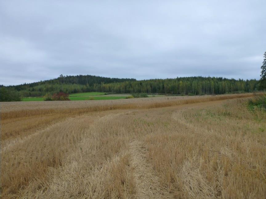 1 Sastamala-Huittinen vesihuoltolinjan