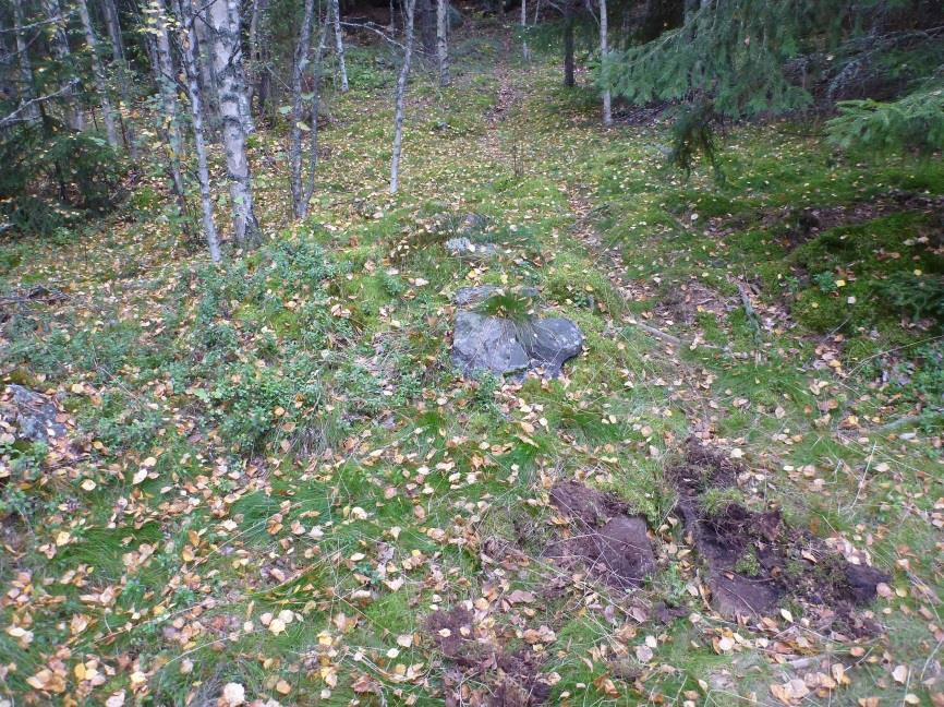 11 Kiuas, osittain turpeen peitossa. Latomuksen rapautuneita kiviä.
