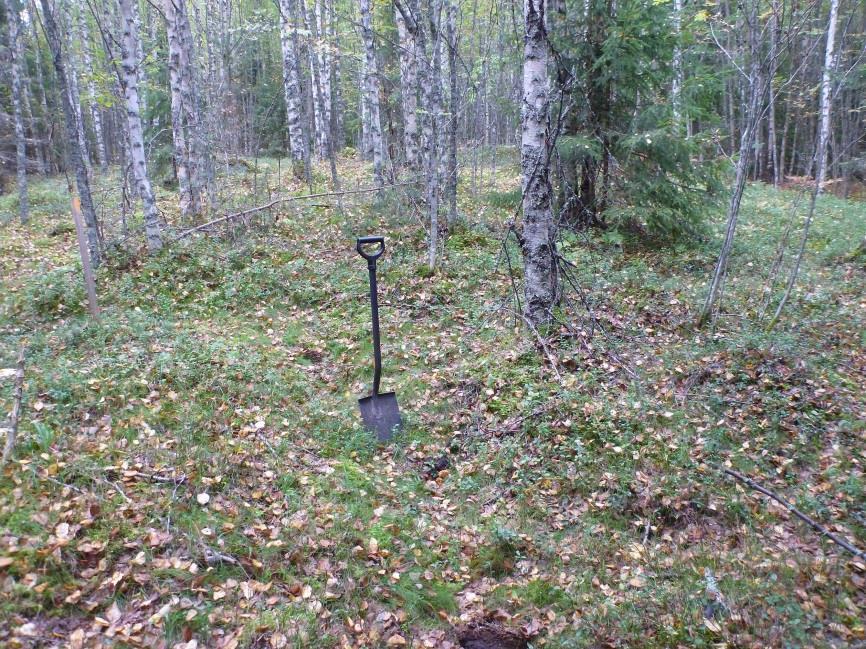 13 Tervaränni 2.