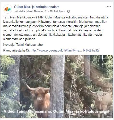 Video Facebookissa 20.7. Tyrnävän Markkuun Niittypäivästä 12.7. Tyrnävän Markkuun kylä liittyi Oulun Maa- ja kotitalousnaisten Niittyheinä ja kissankello kampanjaan.