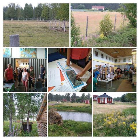 Kampanja Pudasjärven Livon kesäpäivillä 21.7. Kylätoiminnastaan palkitulla Livon kylällä myös upeasti hoidettuja maisemia.