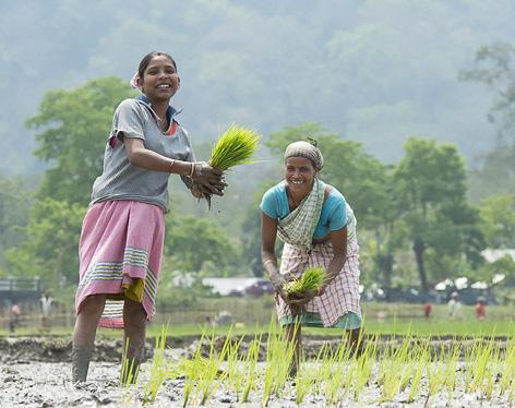 To 9.4.2020 Kazirangan kansallispuisto - Guwahati (A, L) Assamin kulttuuri poikkeaa monin tavoin Madhaya Pradeshin osavaltioissa kokemastamme.