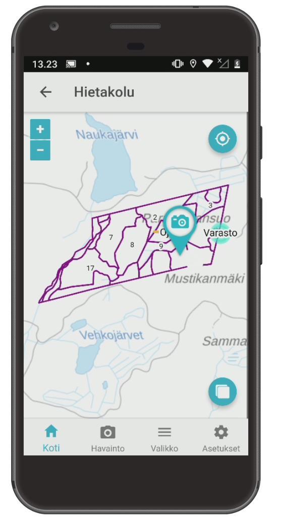 Kuviokartta Sovellus näyttää kuviokartan, kun metsätila on valittuna.