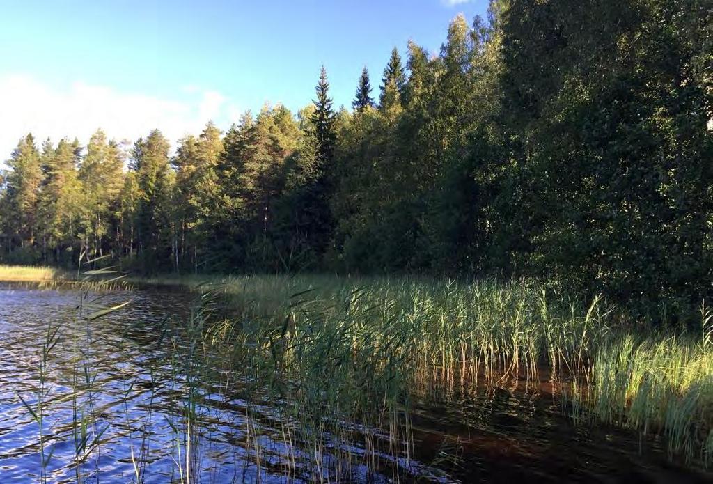 8 Valkiajärven ranta-asemakaavan muutoksen selostus Kaupunkisuunnittelukeskus 26.2.2019