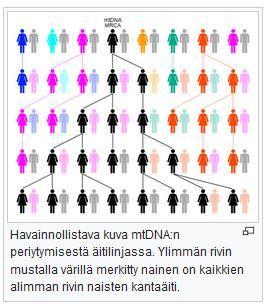 DNA sukututkimuksen apuna DNA- sukututkimuksessa tutkitaan henkilön DNA-näytettä. Näyte pyyhkäistään itse posken sisäpinnasta näytepuikolla.