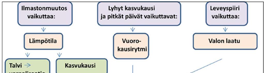 Kuva 3 on esimerkki kaaviokuvasta, joka on muokattu muualla julkaistusta alkuperäisestä