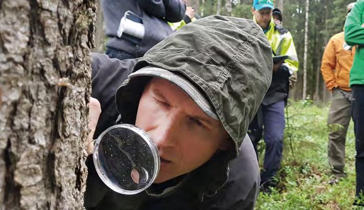 SIDOSRYHMÄTYÖ TUO TOIMINTAAN VAKAUTTA TÄRKEIMMÄT SIDOSRYHMÄMME Biofore-strategia on UPM:n sidosryhmäyhteistyön perusta.