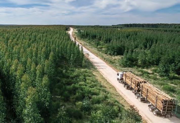 23 TAVOITTEET 81 % Kaikki Sertifioidun puun osuus 1 % puu varmennetuista lähteistä UPM:N METSÄT JA PUUVILJELMÄT 28 218 Metsät ja puuviljelmät, omat ja vuokratut (1 ha) 1 12 971 Puuston kasvu (milj.