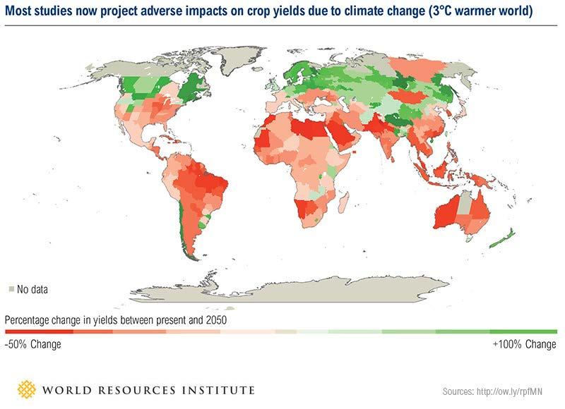 3 C warming major risk for global food security