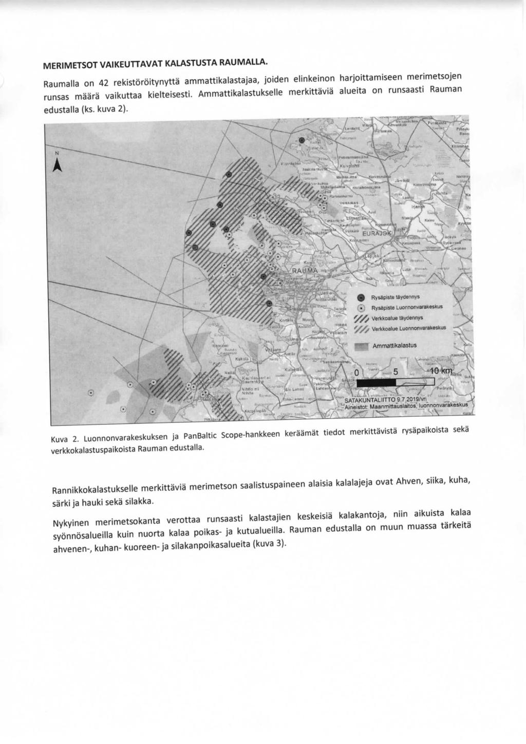 M ERI M ETSOT VAl l(euttavat KALASTUSTA RAU MALLA. Raumalh on 42 rekistöröitynyttä ammattikalastajaa, joiden elinkeinon harjoittamiseen merimetsojen runsas määrä vaikuttaa kielteisesti.