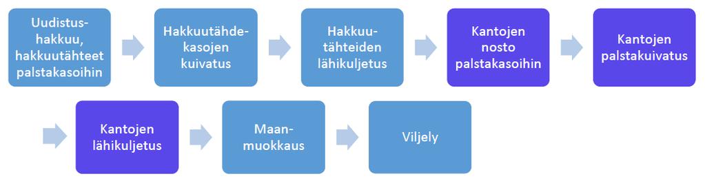 Toimenpideketju