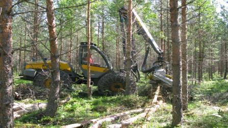 Korjuun toteutus Hoitamattomilla kohteilla energiapuuharvennukset toteutetaan pääsääntöisesti alaharvennuksena.