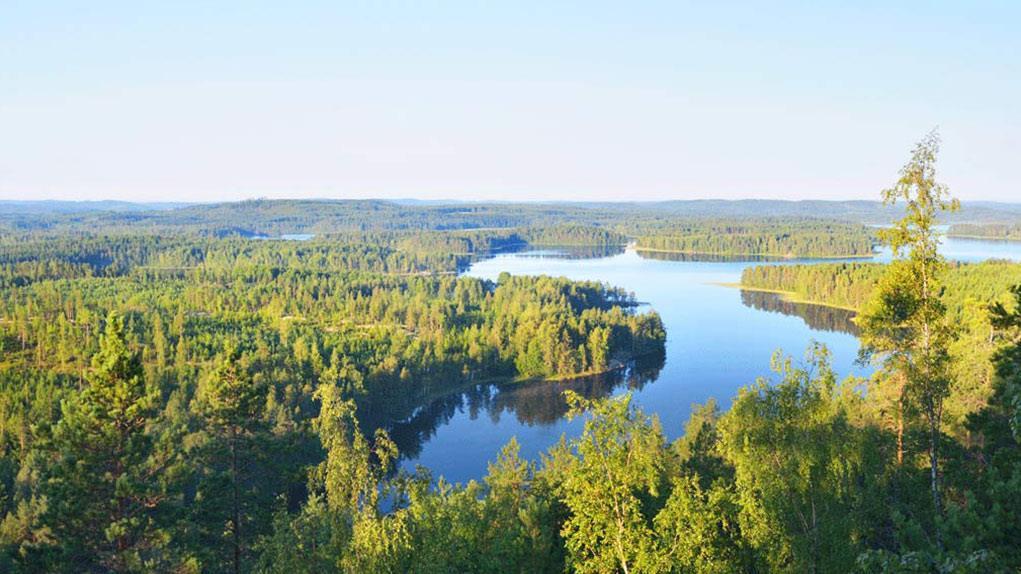 Metsäohjelman seuranta Kainuu Tuomo