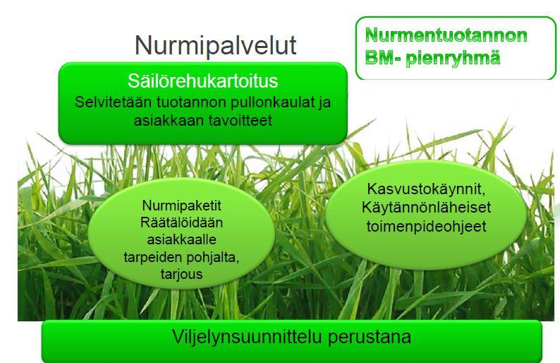 Uudistettuja nurmipalveluita lisäksi mm.