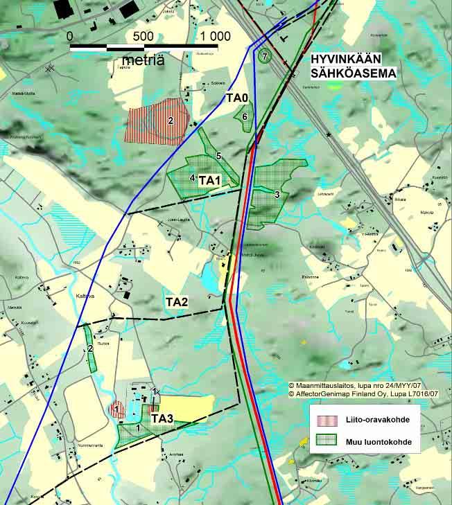 32 400 kv voimajohto Hyvinkää-Hikiä Kohde 6 (kuva 23): Kohde on tuoretta kuusivaltaista kosteapohjaista sekapuukangasta. Kuviolla kasvaa liito-oravalle sopivia järeitä haapoja.