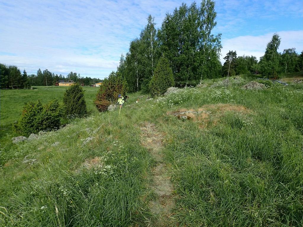 16 Tonttimäki, koekaivaus Tonttimäki (mj-tunnus 922010015) on rautakautinen röykkiöalue, josta on kartoitettu seitsemän erillistä röykkiötä. Kohde on löytynyt Väinö Maajoen inventoinnissa vuonna 1939.