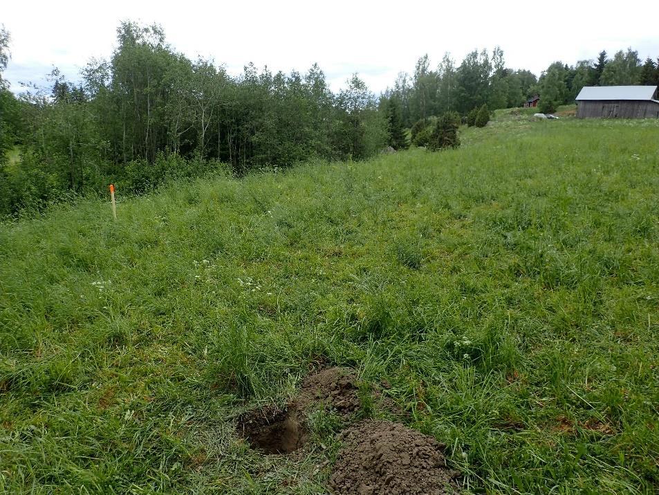 astialasia. Koekuopan 6 muokkauskerroksesta havaittiin niin ikään muutamia tiilen paloja. Kaapelilinjan muutettua reittiä. Tonttimäen muinaisjäännösalue kuvan oikeassa laidassa.