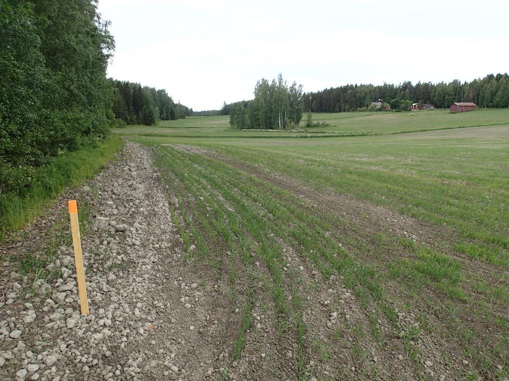 25 Pohjoisen pistohaaran reittiä Silvon tilan pohjoispuolella. Pohjoiseen.