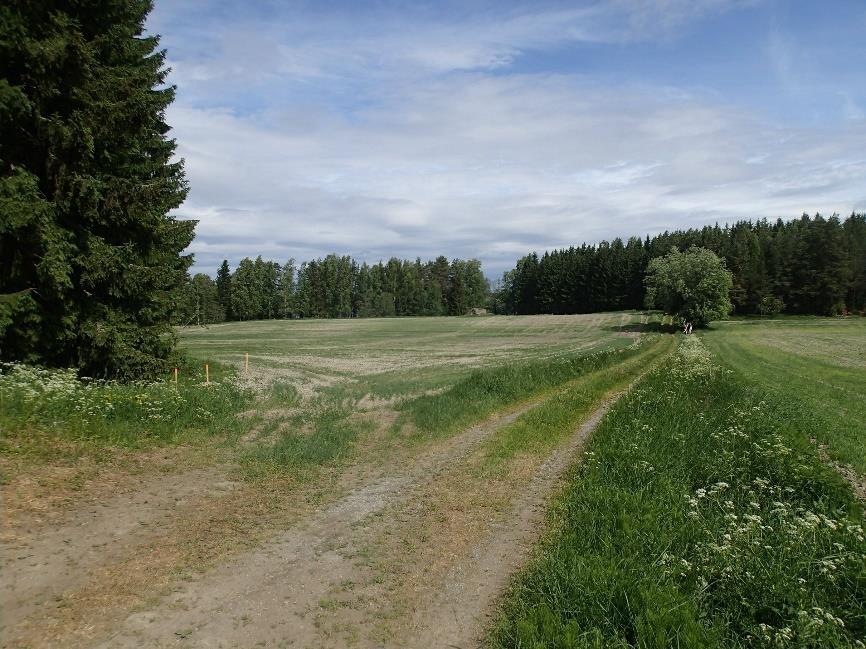 27 Inventoidun linjan itäosaa Tarkan talon pohjoispuolella.