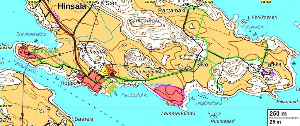 Yleiskartta tutkimusalueesta. Muinaisjäännösalueet on merkattu punaisella Lemmenniemessä oleva vaalean punainen alue on mahdollinen muinaisjäännösalue.