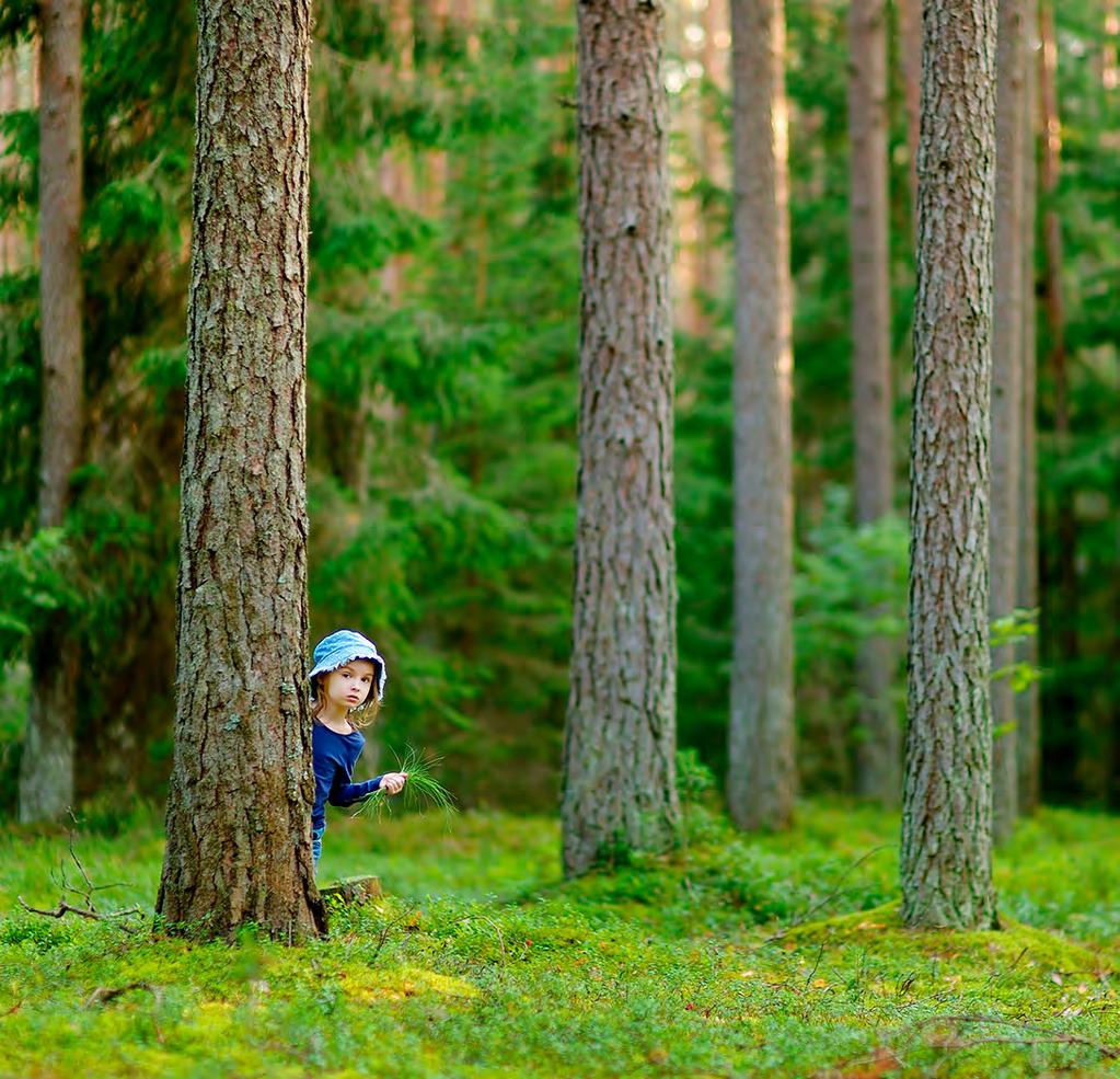Metsähallitus Metsätalous Oy Ilmastoviisas metsätalous Ilmastonmuutosta hillitsevä metsätalous (47314) -projektin