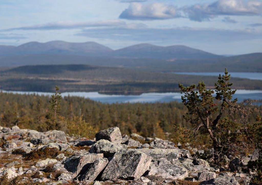 1. Jari Salonen 1. ILMASTONMUUTOSTA HILLITSEVÄ METSÄTALOUS -PROJEKTI 1.1. Tavoite Tunnistetaan metsätalousalueiden merkitys kokonaisuutena hiilen sidonnassa ja varastoinnissa.