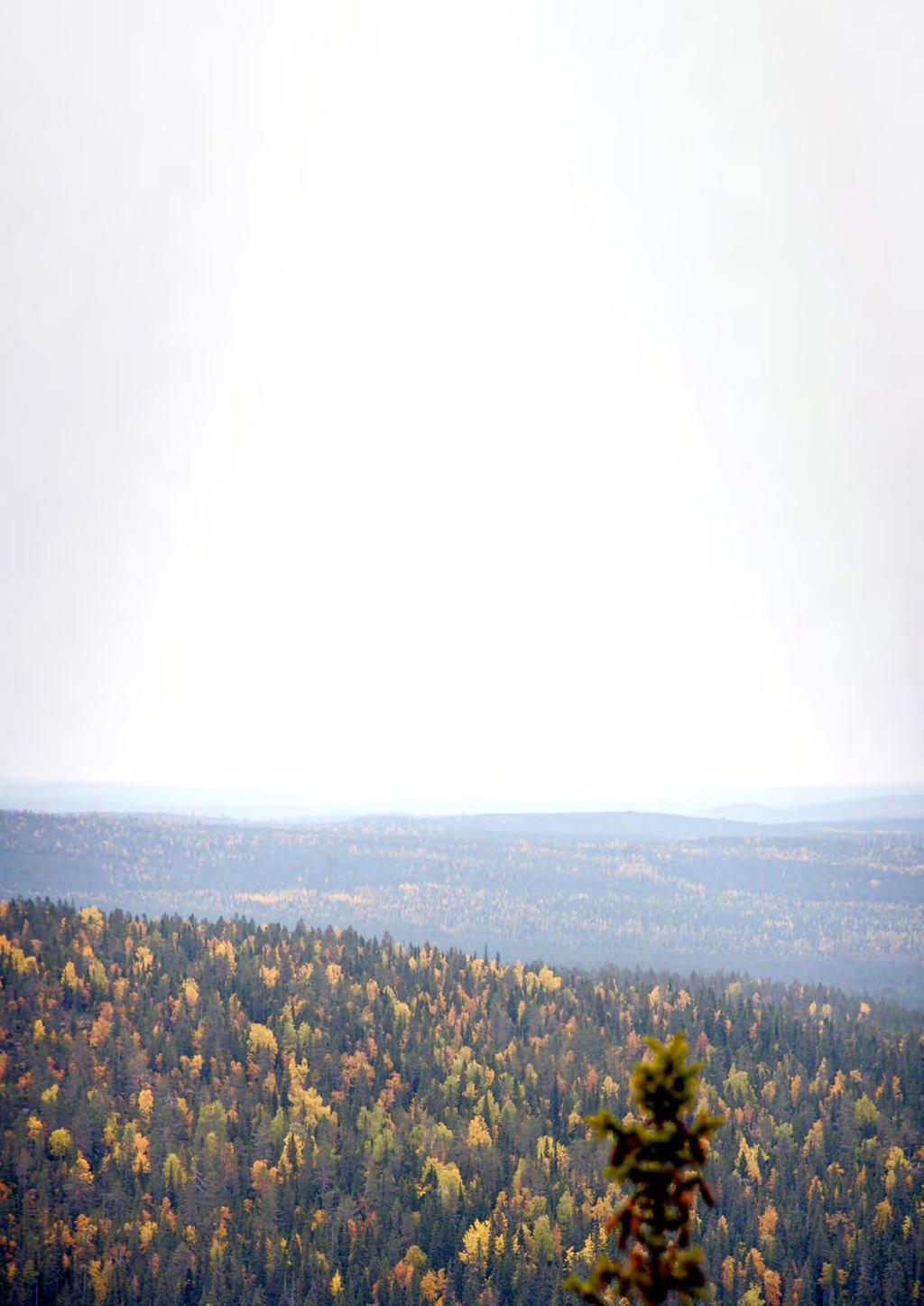 8. 8. PÄÄTELMÄT Metsätaloustoiminta nykyisiä Metsähallituksen metsänhoito-ohjeita noudattaen ottaa jo erinomaisesti huomioon hiilen sidonnan ja varastoinnin.