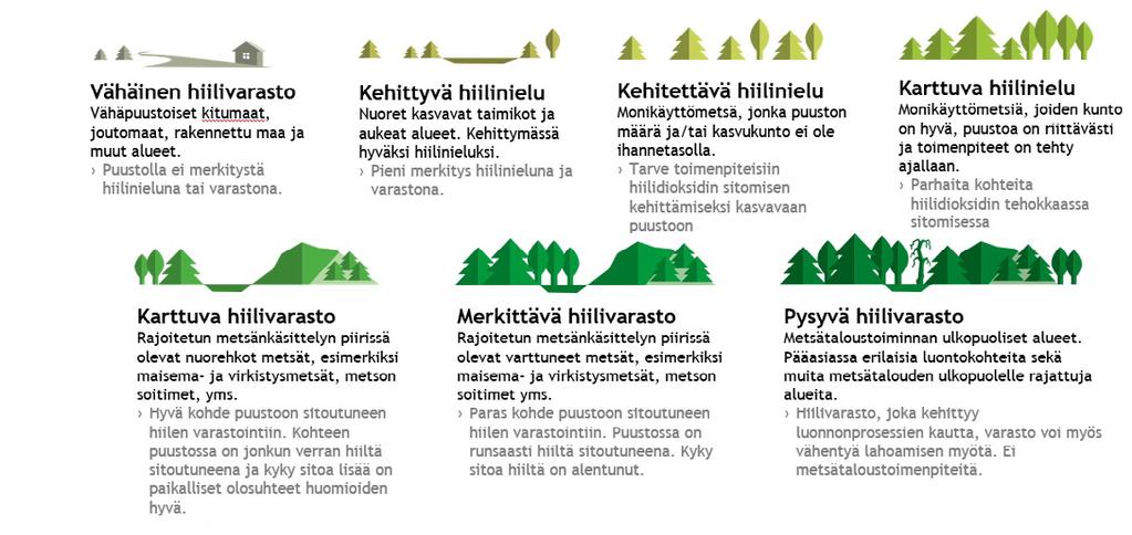 LIITE 3. Valtion metsien hiililuokitus monikäyttömetsille Metsäkuvioiden ilmastoluokitus jakaa metsätalouden piirissä olevat valtion monikäyttömetsät seitsemään kehitysluokkaan.