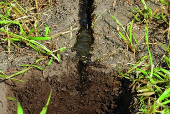 KJELLMANMagazine 8 LIETTEEN Öky Oy Sijaitsee Kuortane Koneurakointi Rehuteko ja lieteurakointi Perustettu 2003 Omistajat 6 osakasta Koneet Vredo VT4556 Track Vredo ZB3 kaksoiskiekkomultain Lannan