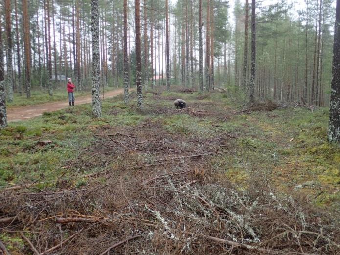 Oikea kuva: Kuvassa keskellä Timo Sepänmaa