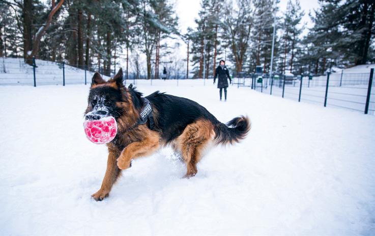 Rakennus- ja työkohteet 2019 Yhteystiedot ULKOVALAISTUS Valaistuksen rakentaminen seuraa kadunrakennuksen aikataulua.
