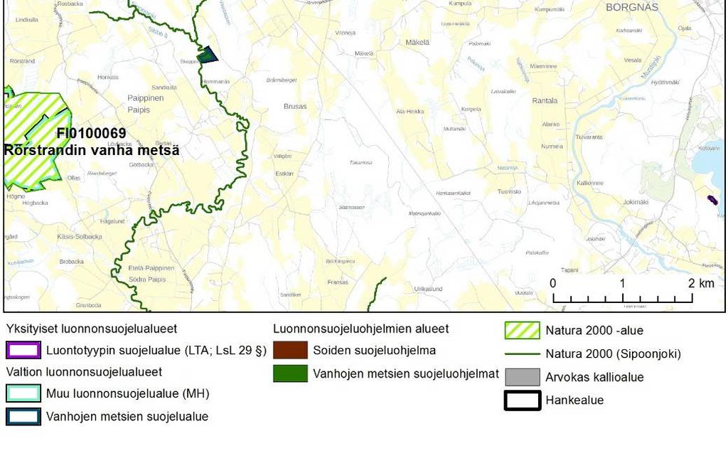 Luontodirektiivin II-liitteen lajeista kohteen suojeluperusteina on liito-orava, saukko ja uutena lajina suojeluperusteiksi on ehdotettu kovakuoriaislajia mustatattiainen.
