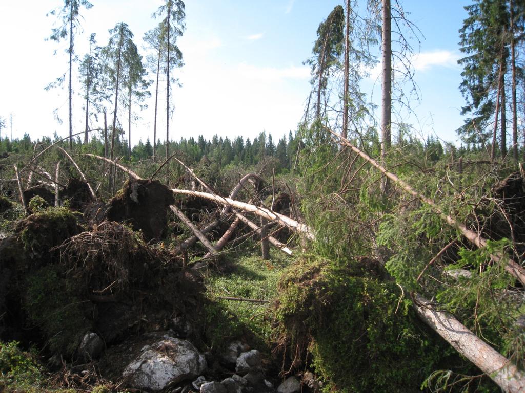 vuosikymmeninä.