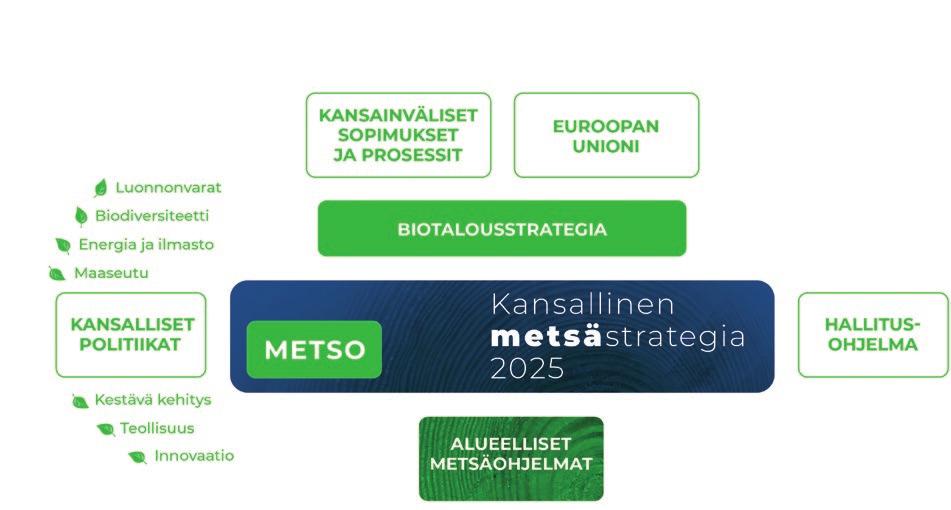 Keskeisimpiä niistä ovat: Kansallinen biotalousstrategia Etelä-Suomen metsien monimuotoisuus ohjelma METSO (www.metsonpolku.