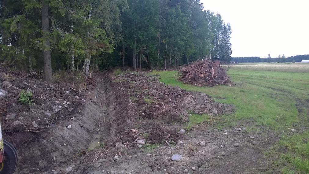 Lohko on ilmoitettu nurmeksi. Risukasa ja ojamaat ovat tilapäisesti viljelemätöntä alaa.