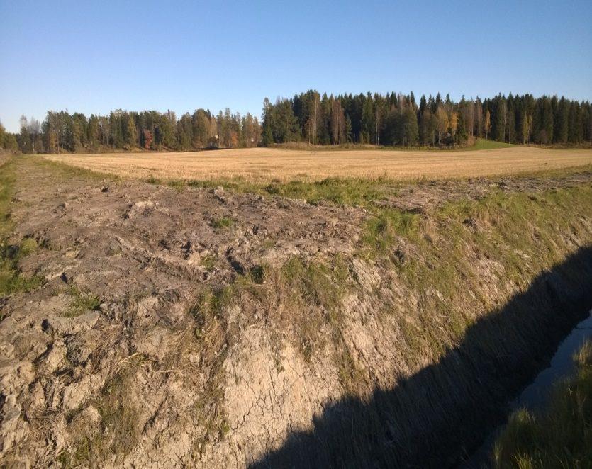 Pientareen kasvillisuus tuhoutunut ojan kunnostustöissä.