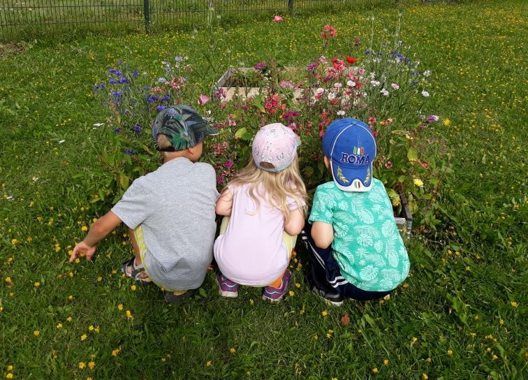 Varhaiskasvatuksen järjestäjällä on velvollisuus kertoa huoltajille varhaiskasvatuksen tavoitteista ja toiminnasta sen eri toimintamuodoissa.