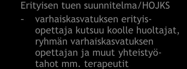 - ryhmän varhaiskasvatuksen opettaja kutsuu koolle huoltajat, varhaiskasvatuksen erityisopettajan ja mahdolliset terapeutit Pedagoginen