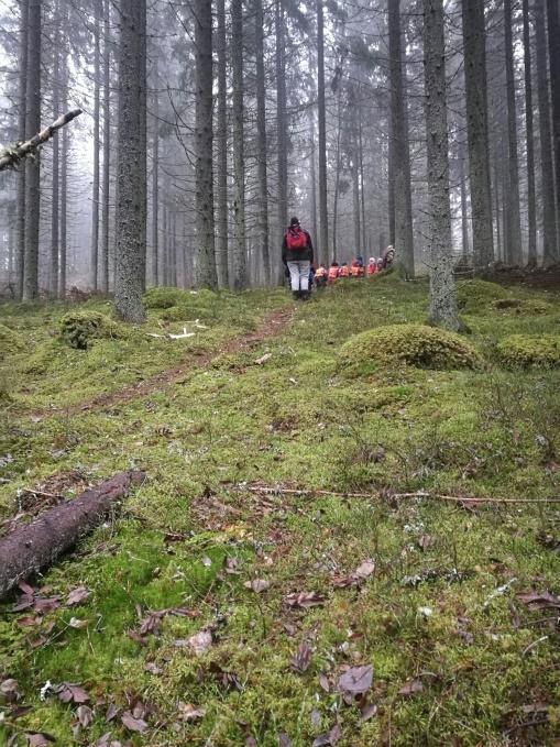 Ryhmätasolla arvioinnin työkaluna päiväkodeissa on ryhmäkohtainen varhaiskasvatussuunnitelma (ryhmävasu), josta vastuussa on ryhmän varhaiskasvatuksen opettaja.