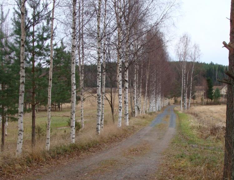 jonka suojelutavoitteena ovat linnustoarvojen säilyttäminen.