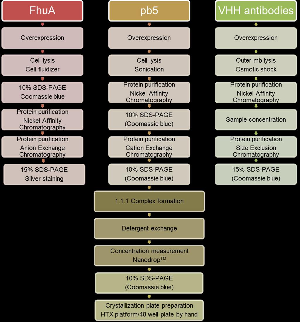 16 3 Materials and methods The project was performed by