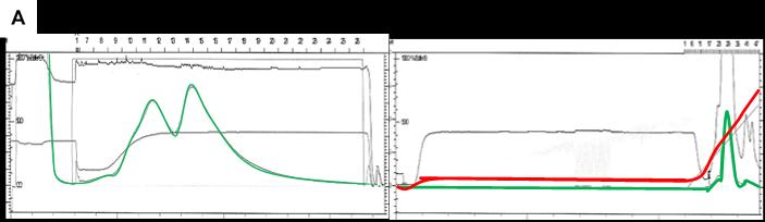 27 4.1.2 Purification of pb5 The protein purification for the tail tip protein pb5 was followed with a UV-Vis detector during its elution.