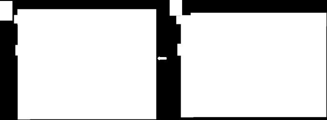 It is important to be aware of how vital it is to proceed quickly to the next steps during the purification of pb5, since this protein has a tendency to precipitate alone very rapidly. Figure 12.
