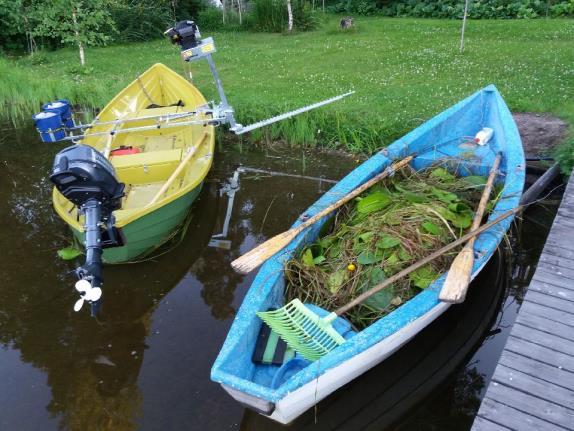 2 Helle ei suosinut leikkuutöitä, mutta innostusta ei