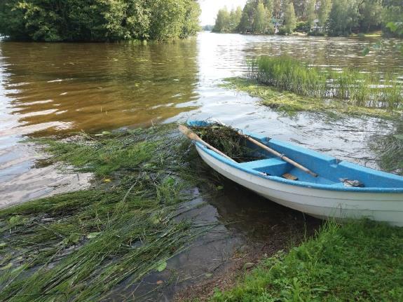 Heti heinäkuun puolivälin jälkeen puheenjohtaja