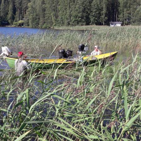 3 Limainen korte ja lumme valtaavat alaa