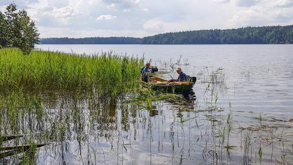 4 Rantaa pitää siivota ja samalla leikata uusia, kasvavia kortteita ja ruokoja. Jos jossain leikataan, tuuli tuppaa tuomaan tavaraa myös muiden rantaan. Ihan tuttu ilmiö edellisiltä vuosilta.