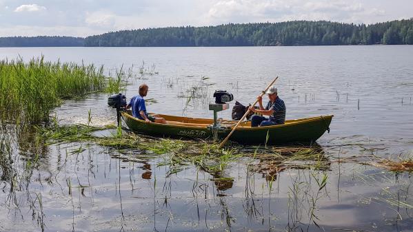 Sahajärven pohjoisrannoilla kaislanleikkuu on ollut vilkasta. Toisaalta, siellä on aurinkoisimmat rannat ja kaksi tai kolmekin merkittävää ravinnekuormittajaa.