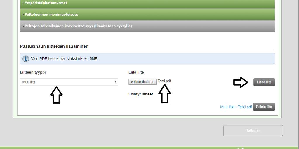 Päätukihaku, haettavat tuet liitteiden lisääminen Haettavat tuet välilehdellä voidaan tallentaa myös tarvittavia liitteitä pdfmuodossa Ennen liitteen lisäämistä valitse liitteen