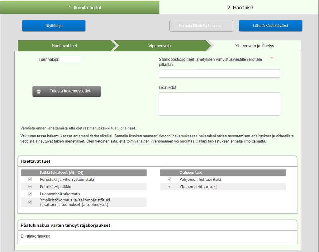 Päätukihakemus, yhteenveto ja lähetys Yhteenveto ja lähetys-välisivulta näet päätukihakemuksen yhteenvedon ja pystyt tulostamaan hakemustiedot Ennen lähetystä tarkista, että